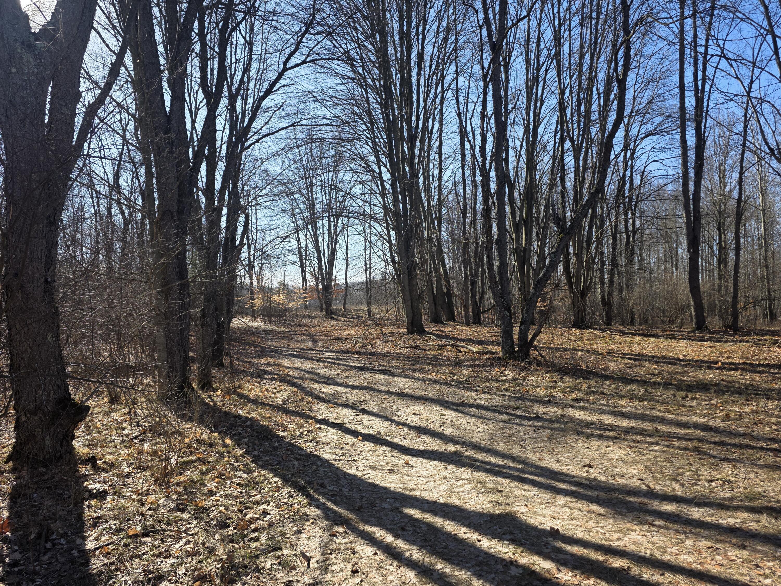 2 2 Mile Road Evart, MI 49631 - Photo 3 of 20 20260309_105658 (1)