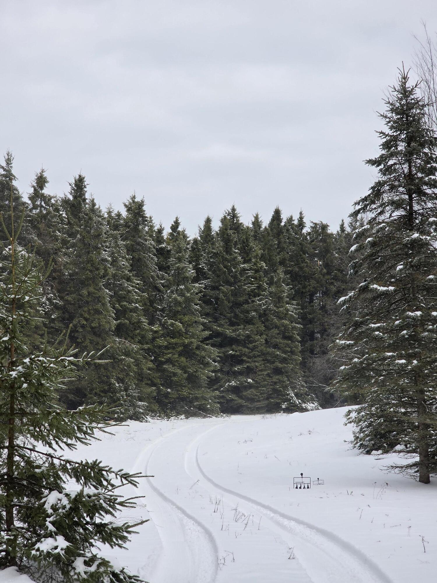 2 2 Mile Road Evart, MI 49631 - Photo 32 of 32 20260319_115706