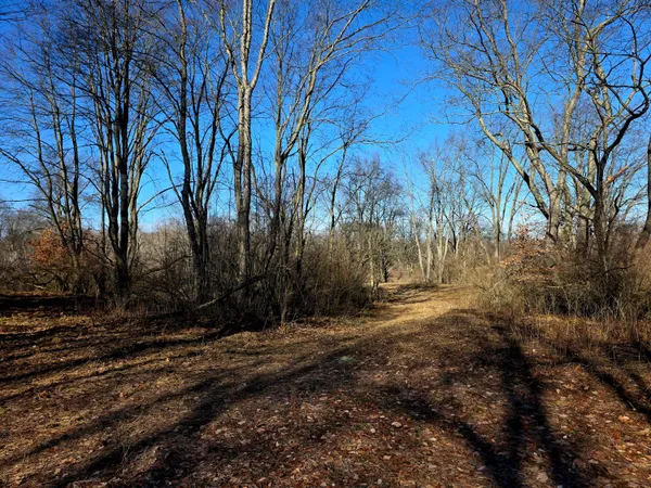 $350,000 | 2 2 Mile Road, Evart, MI 49631