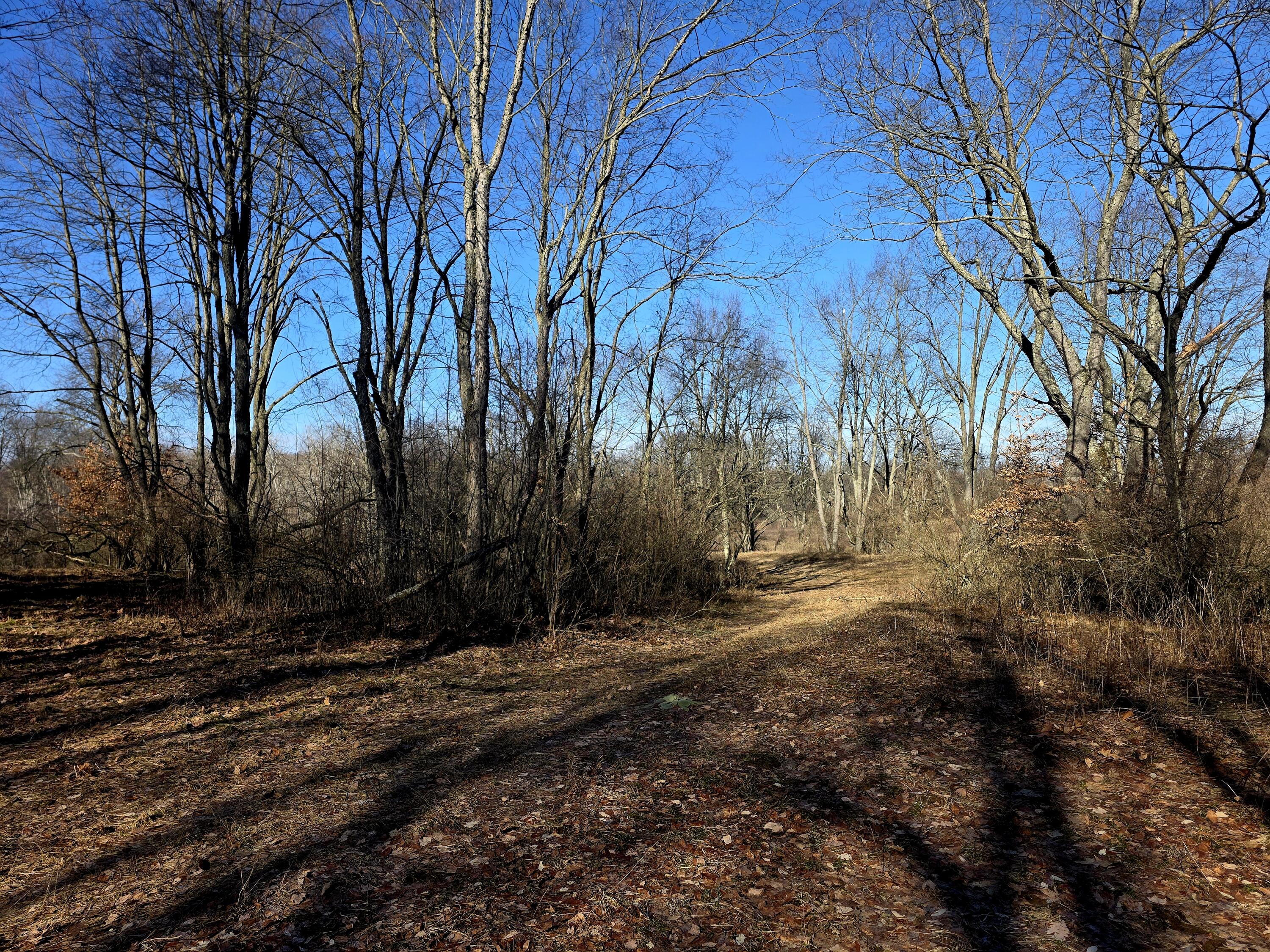 2 2 Mile Road Evart, MI 49631 - Photo 4 of 20 20260309_105707