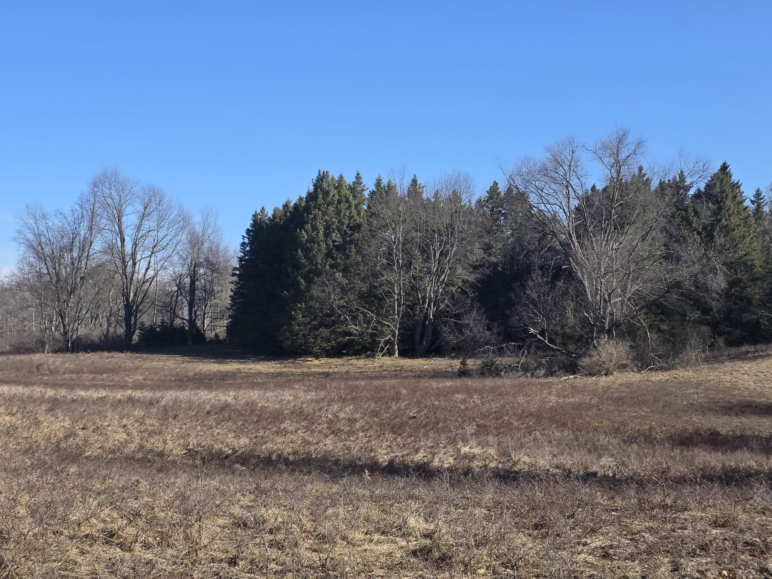 2 2 Mile Road Evart, MI 49631 - Photo 5 of 20 20260309_110804