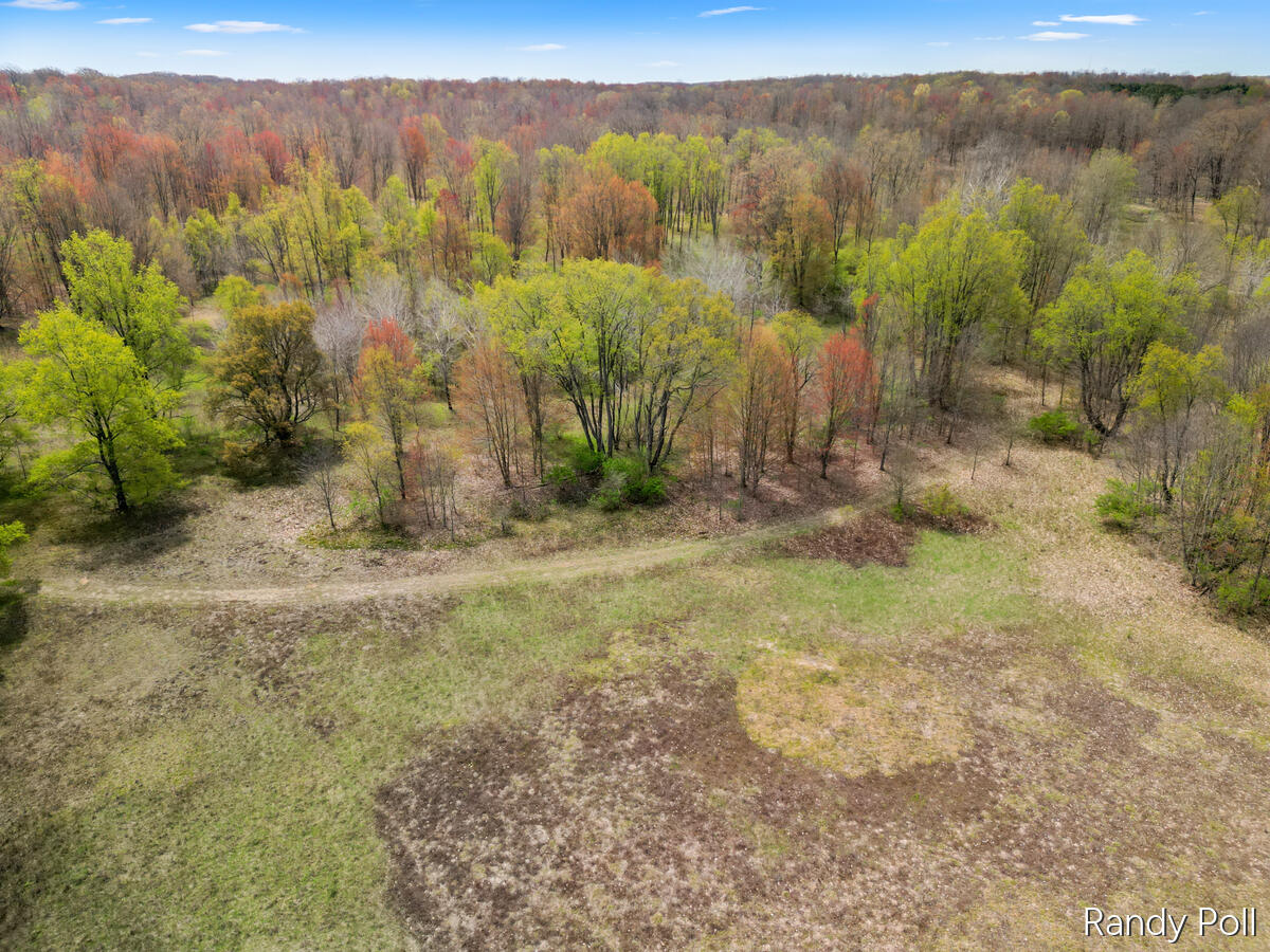 2 2 Mile Road Evart, MI 49631 - Photo 6 of 32 106-2-Mile-Road_211