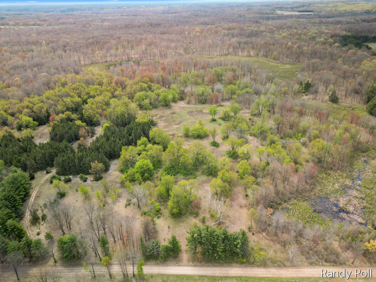2 2 Mile Road Evart, MI 49631 - Photo 8 of 32 106-2-Mile-Road_201