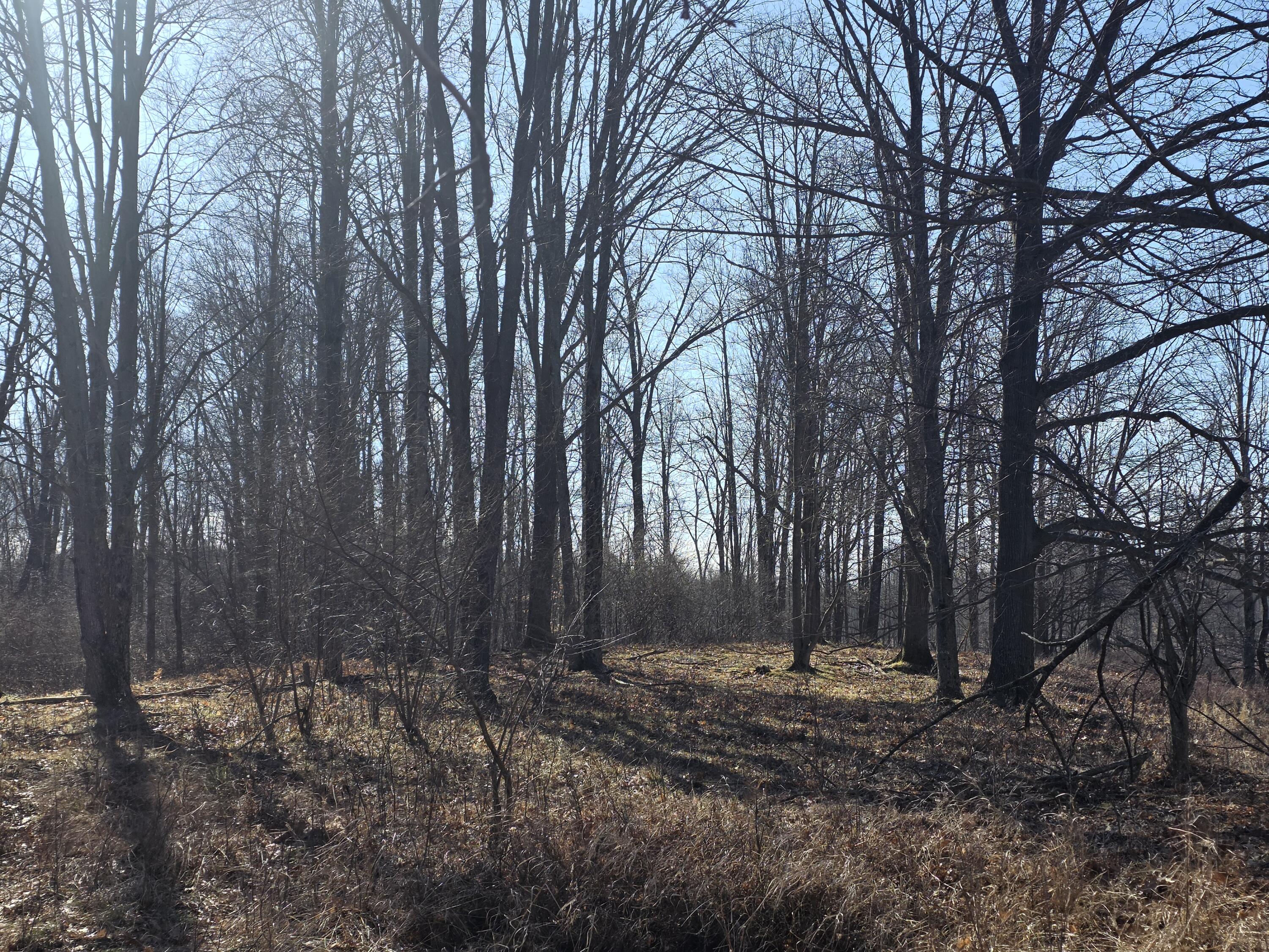 2 2 Mile Road Evart, MI 49631 - Photo 8 of 20 20260309_111227