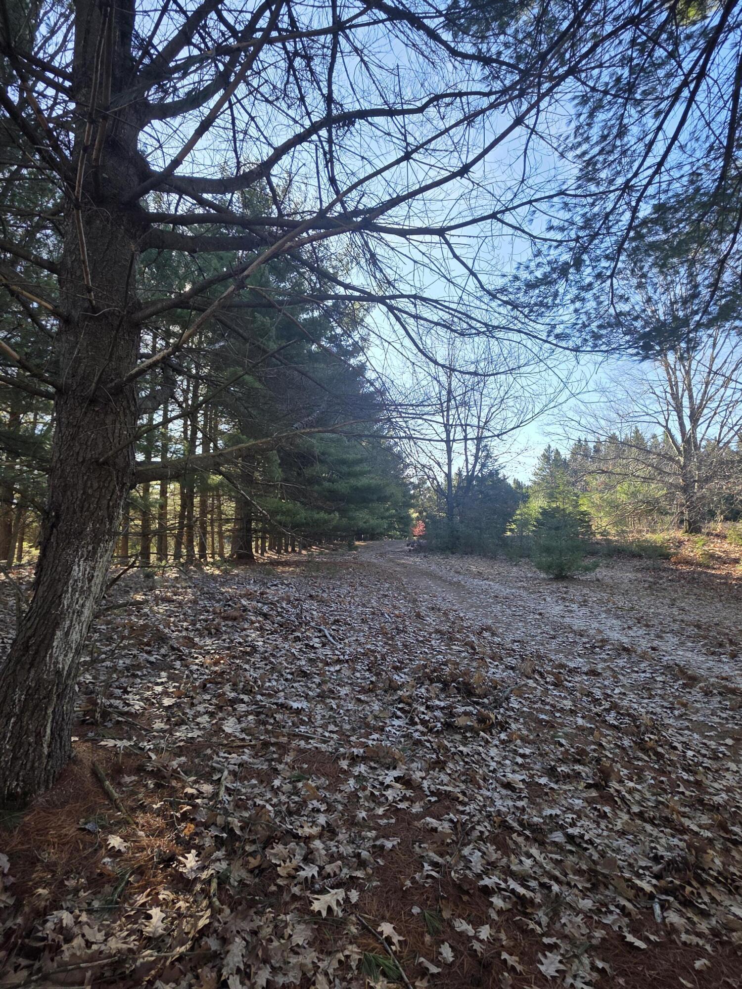 2 2 Mile Road Evart, MI 49631 - Photo 9 of 20 20260309_104519