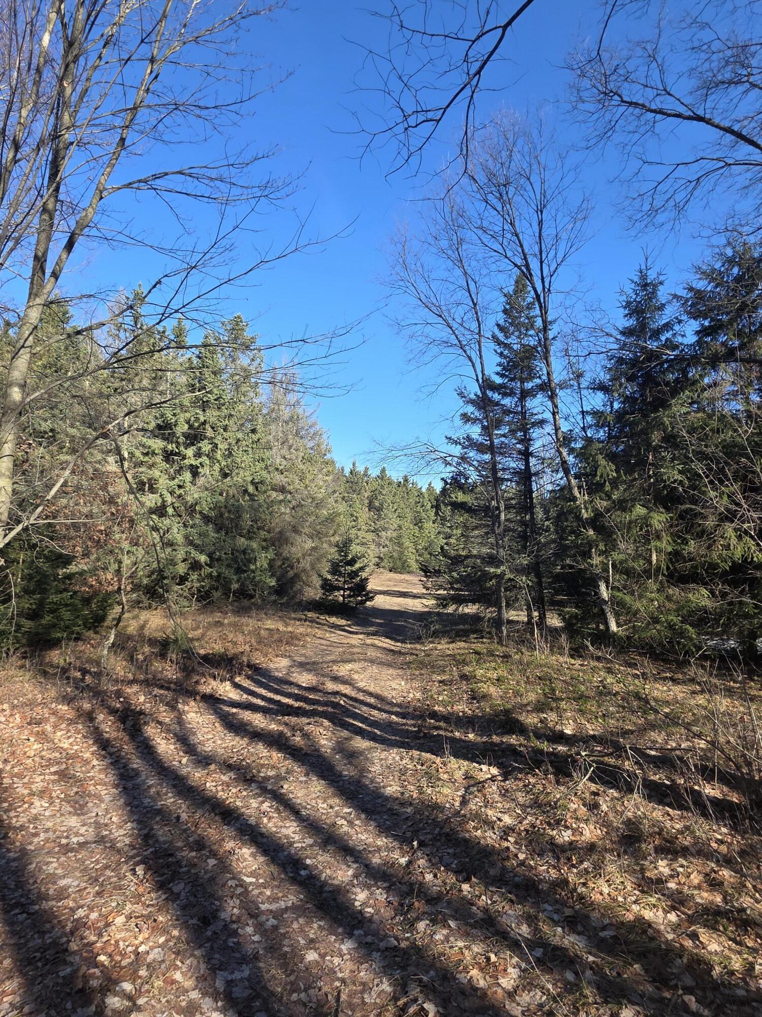 2 2 Mile Road Evart, MI 49631 - Photo 10 of 20 20260309_105058