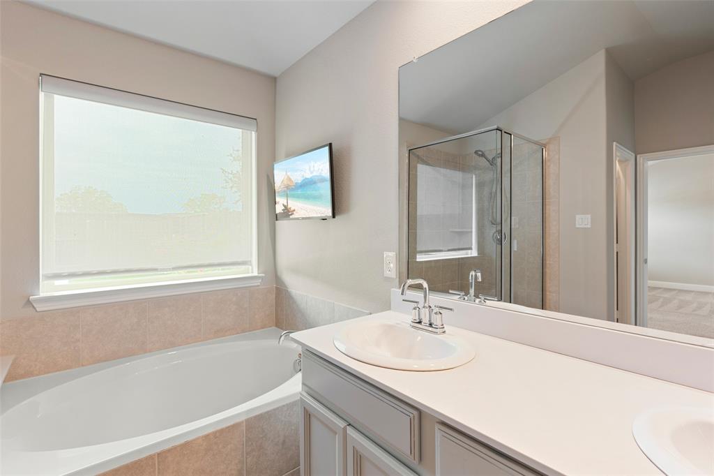 6909 Danridge Road Rowlett, TX 75089 - Photo 14 of 29 a bathroom with a sink and a bathtub