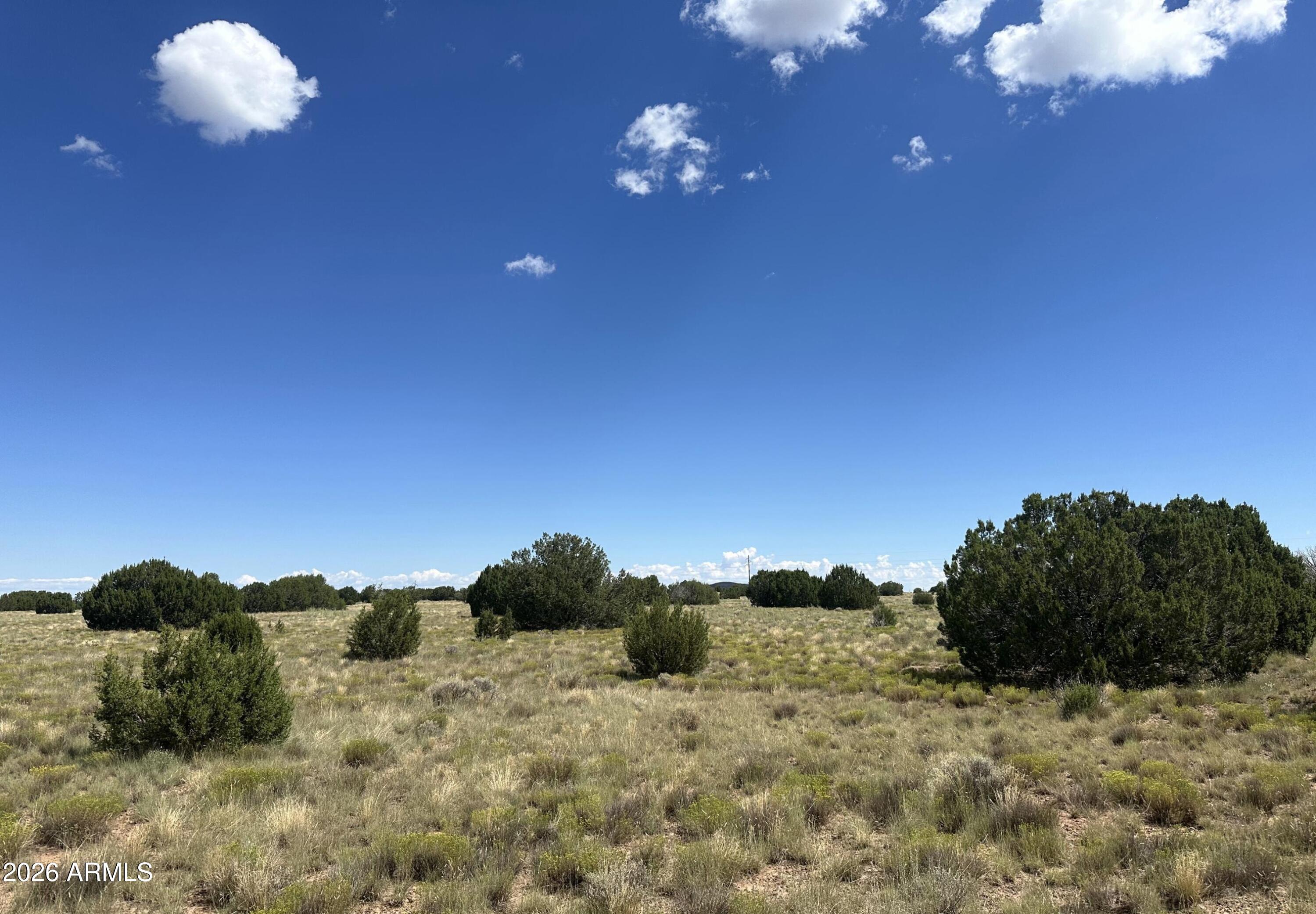 47 County Road Vernon, AZ 85940 - Photo 12 of 18 47 County Rd N3110
