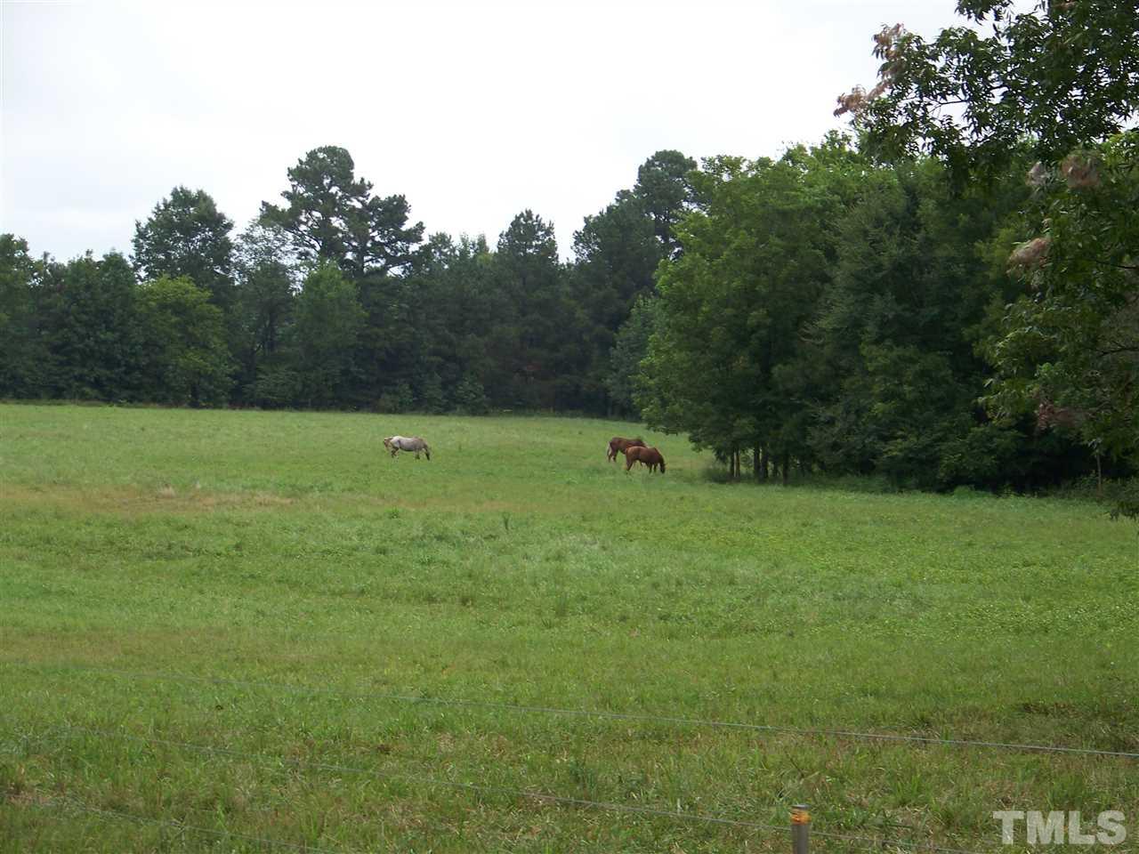 311 Strange Road Louisburg, NC 27549 - Photo 1 of 11 Gallery Image 1