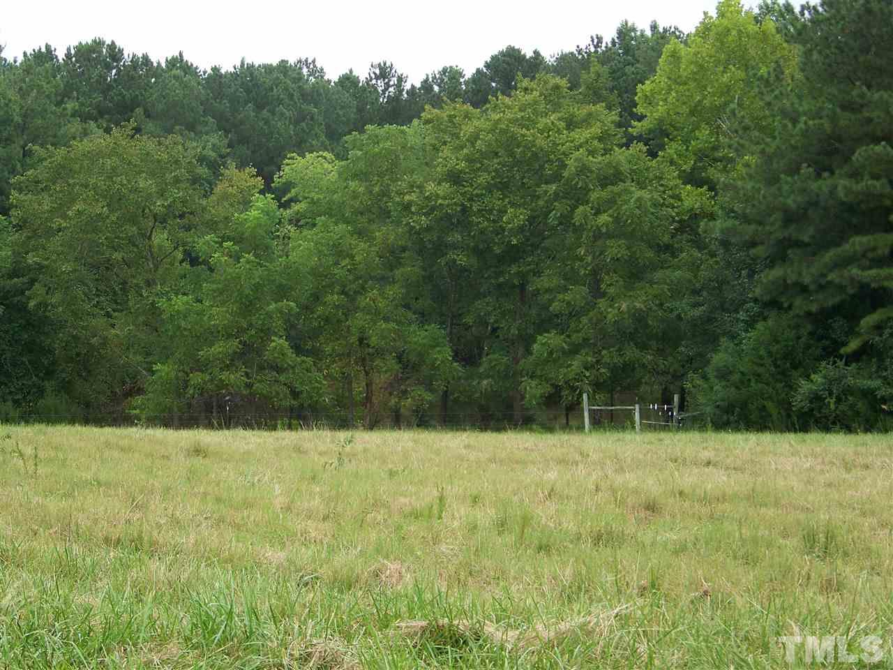 311 Strange Road Louisburg, NC 27549 - Photo 2 of 11 Gallery Image 2