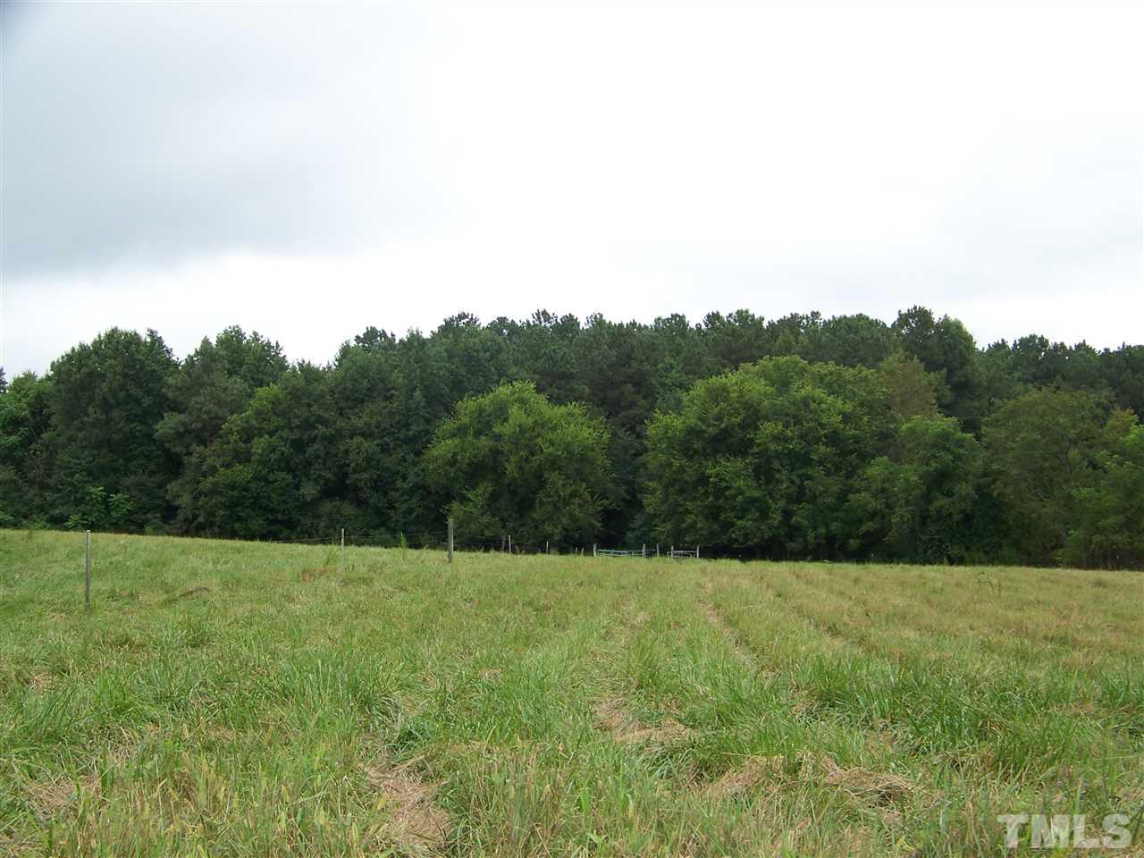 311 Strange Road Louisburg, NC 27549 - Photo 3 of 11 Gallery Image 3