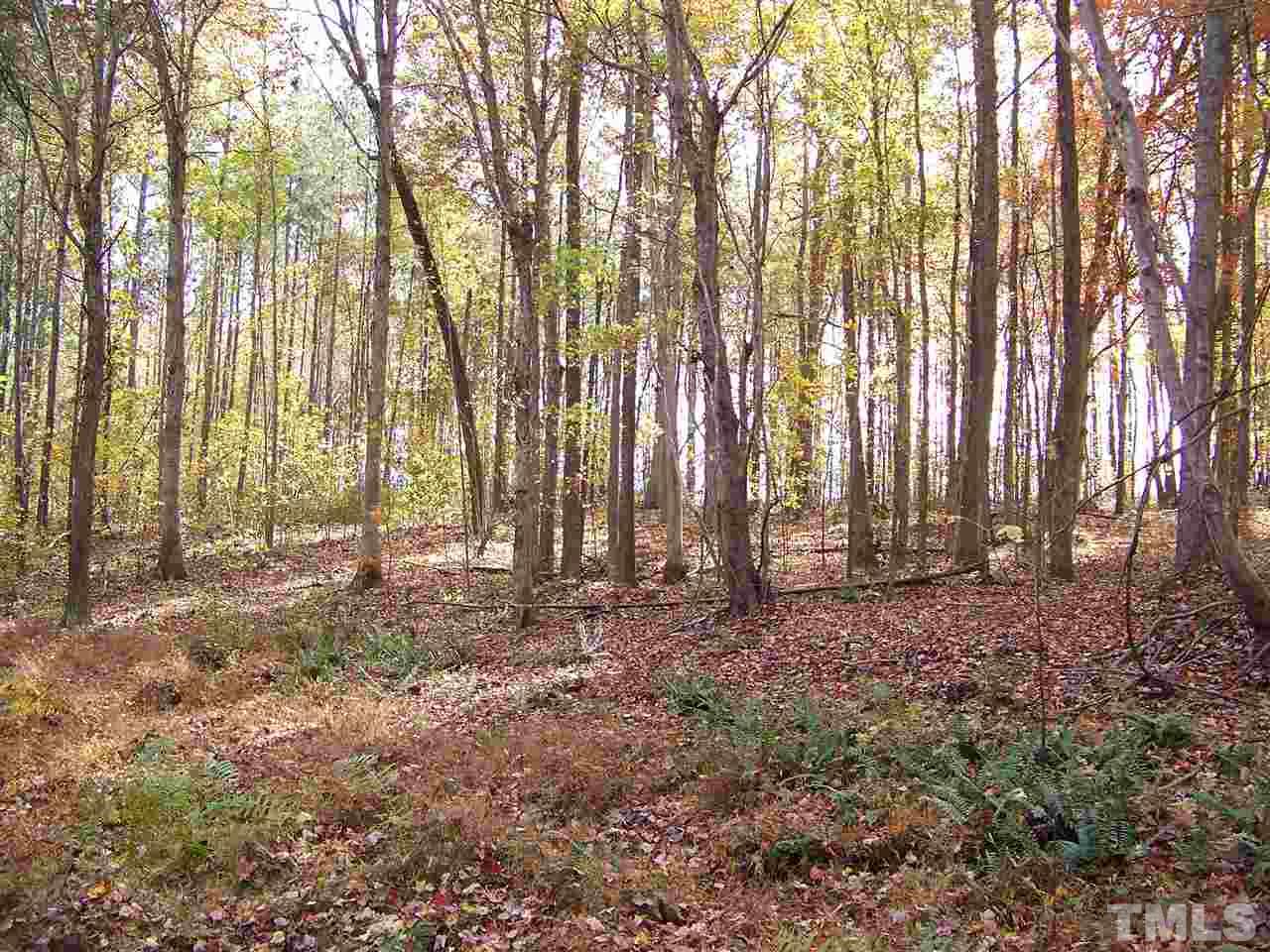311 Strange Road Louisburg, NC 27549 - Photo 5 of 11 Gallery Image 5