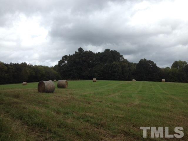 311 Strange Road Louisburg, NC 27549 - Photo 10 of 11 Gallery Image 10