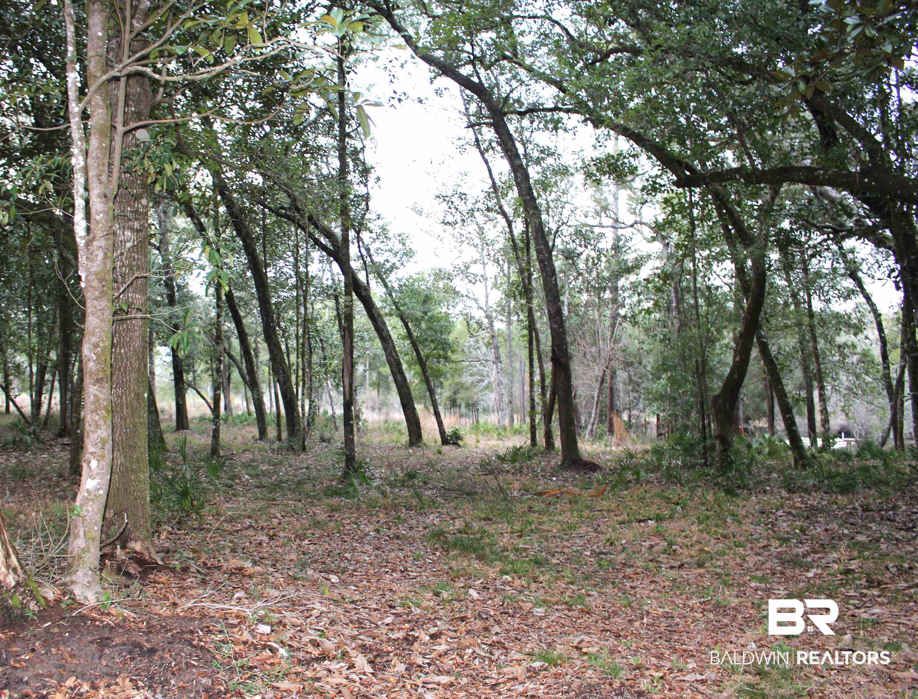 0 Soldier Creek Road Lillian, AL 36549 - Photo 3 of 6 Property interior