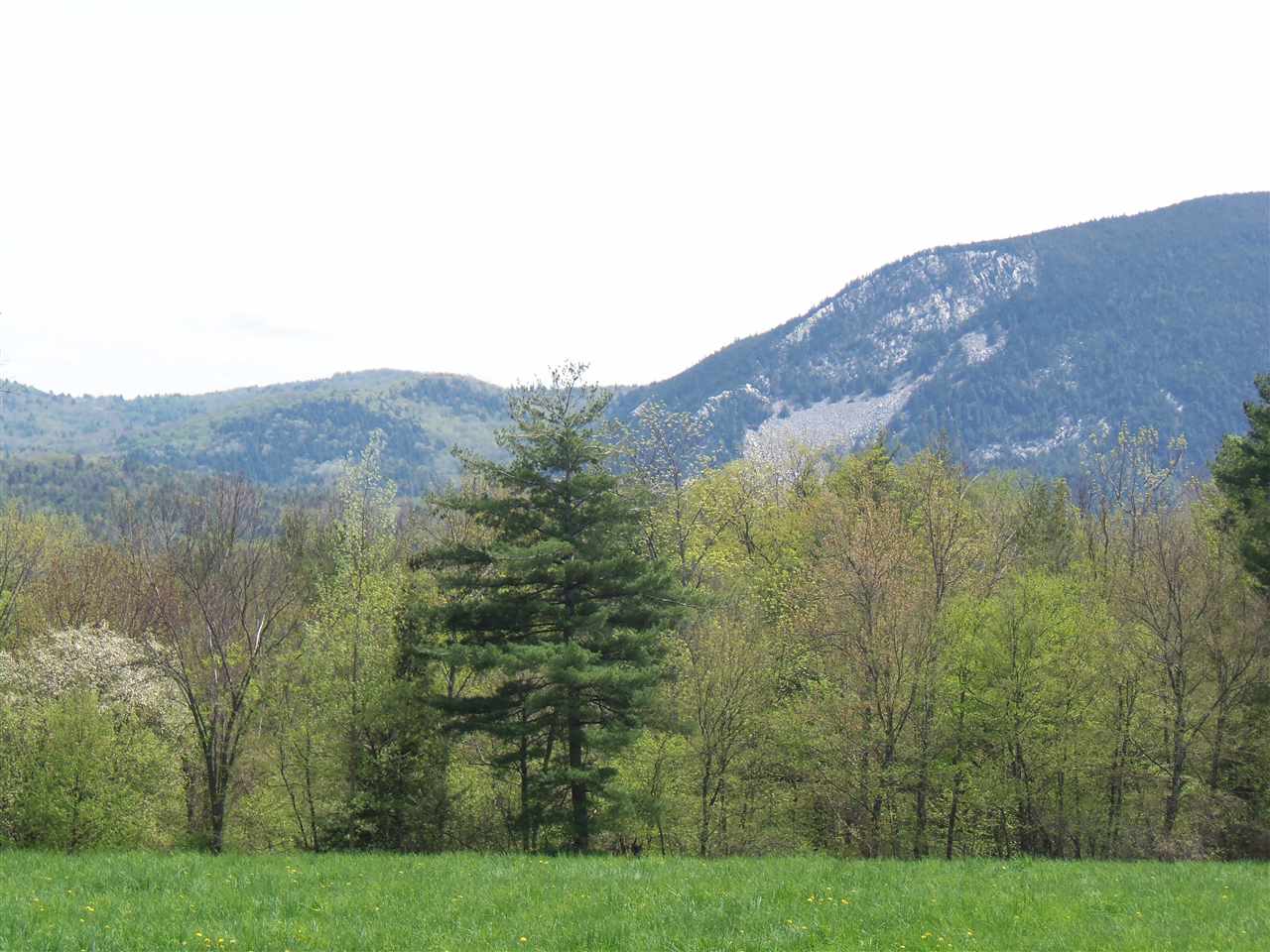 289 West Hill Road Wallingford, VT 05773 - Photo 11 of 13 Gallery Image 11