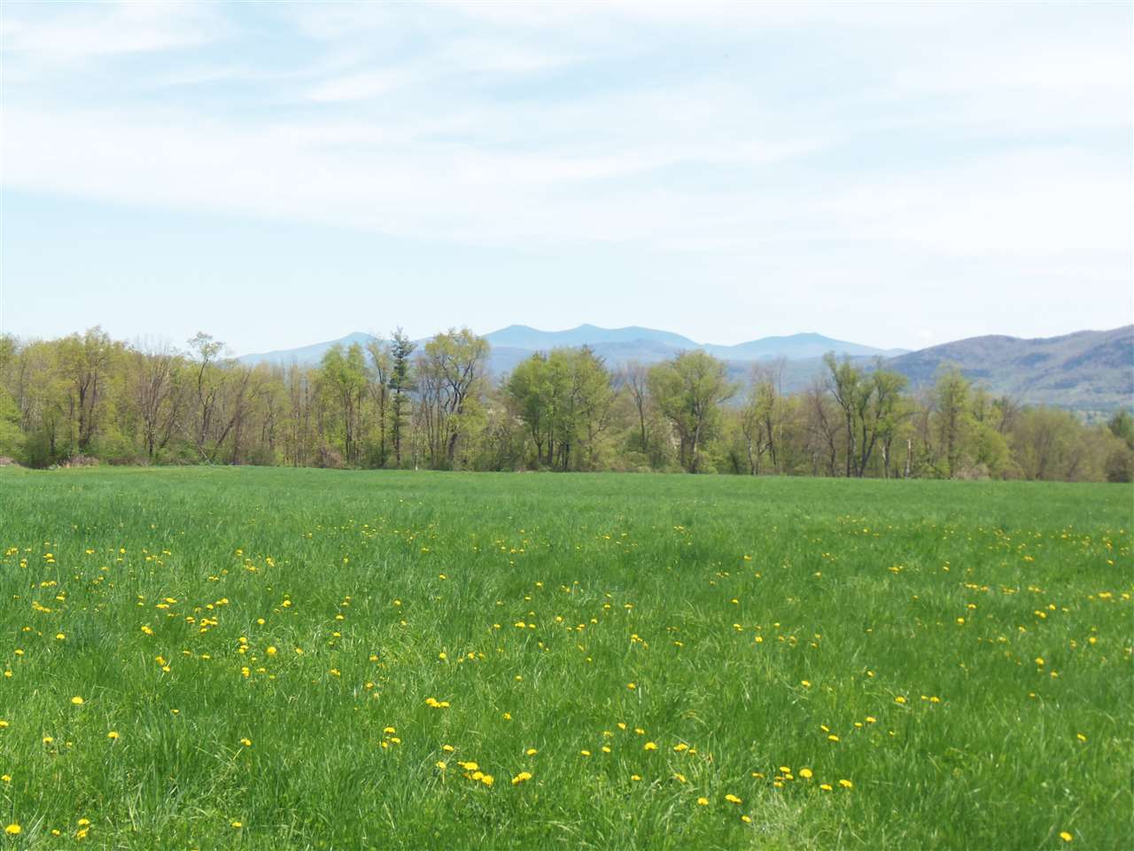 289 West Hill Road Wallingford, VT 05773 - Photo 3 of 13 Gallery Image 3