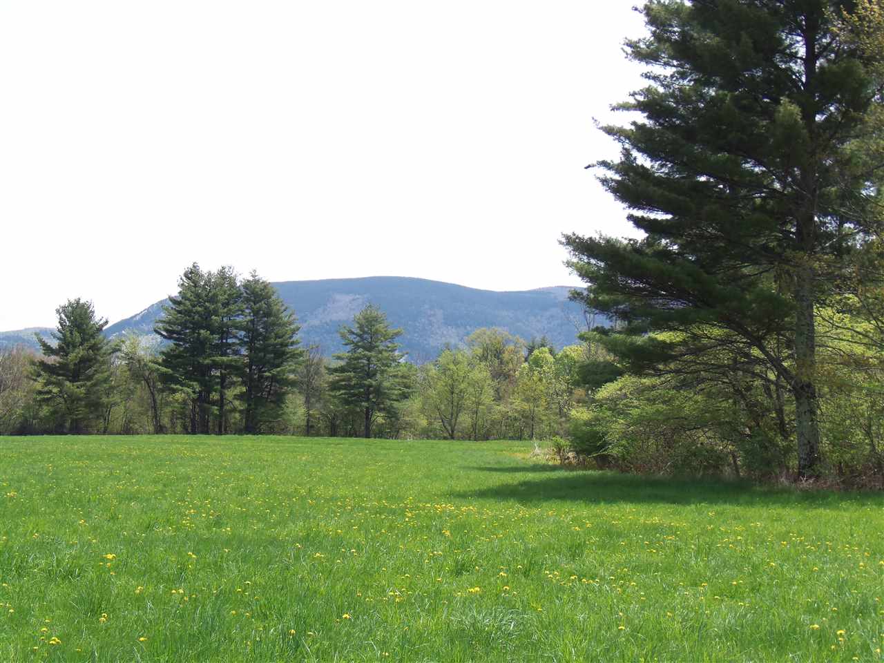 289 West Hill Road Wallingford, VT 05773 - Photo 5 of 13 Gallery Image 5
