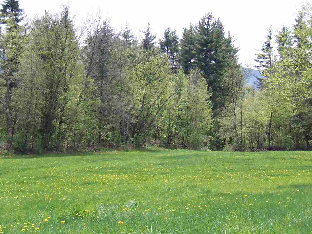 289 West Hill Road Wallingford, VT 05773 - Photo 9 of 13 Gallery Image 9