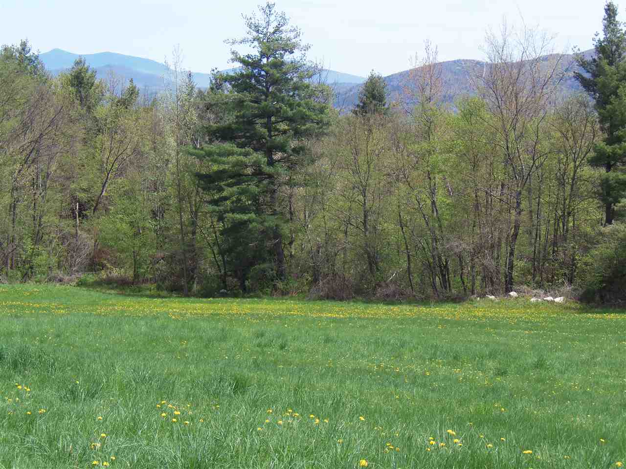 289 West Hill Road Wallingford, VT 05773 - Photo 10 of 13 Gallery Image 10