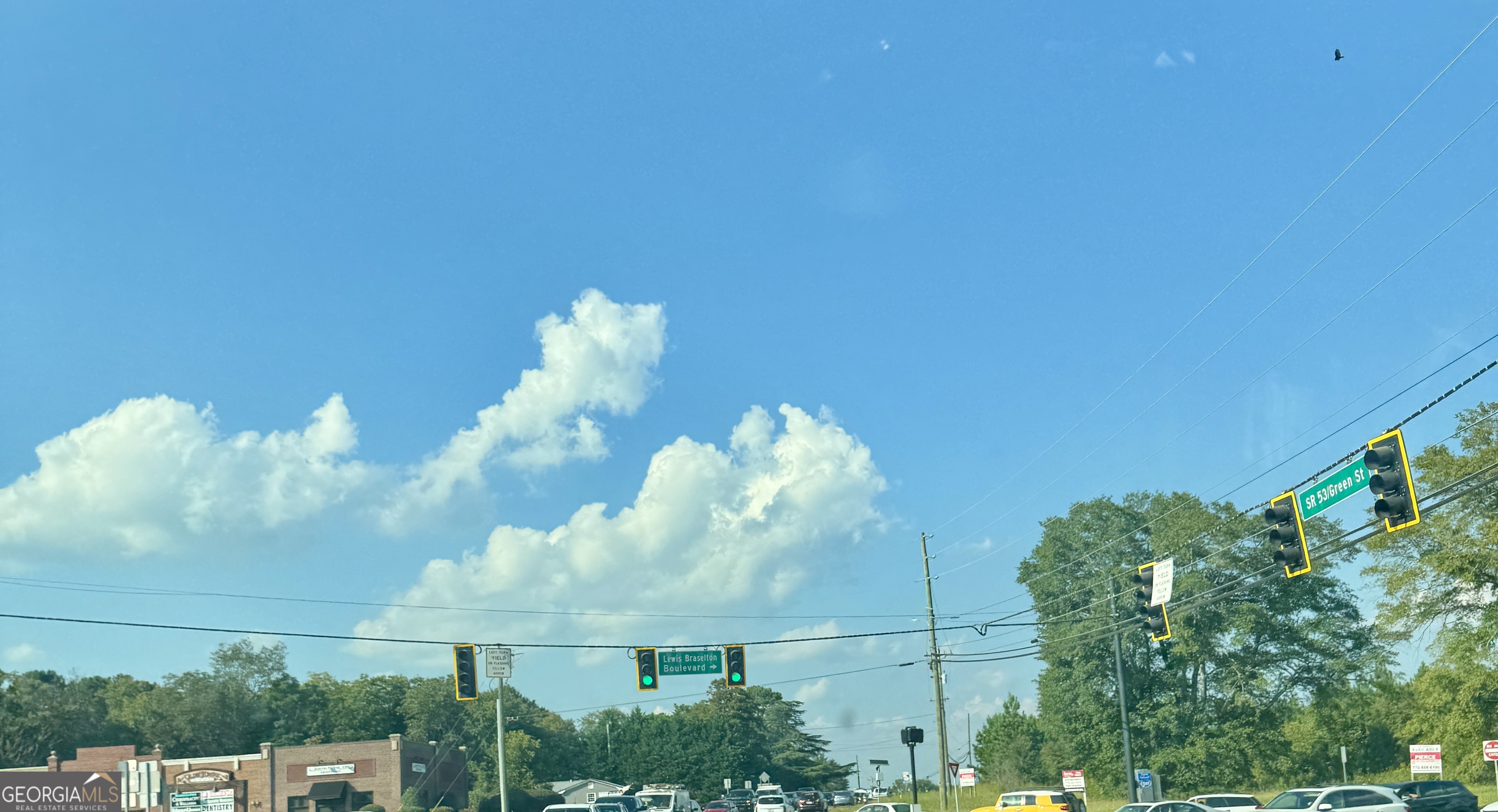 0 Highway 53 Braselton, GA 30517 - Photo 2 of 4 a view of a flower in a garden