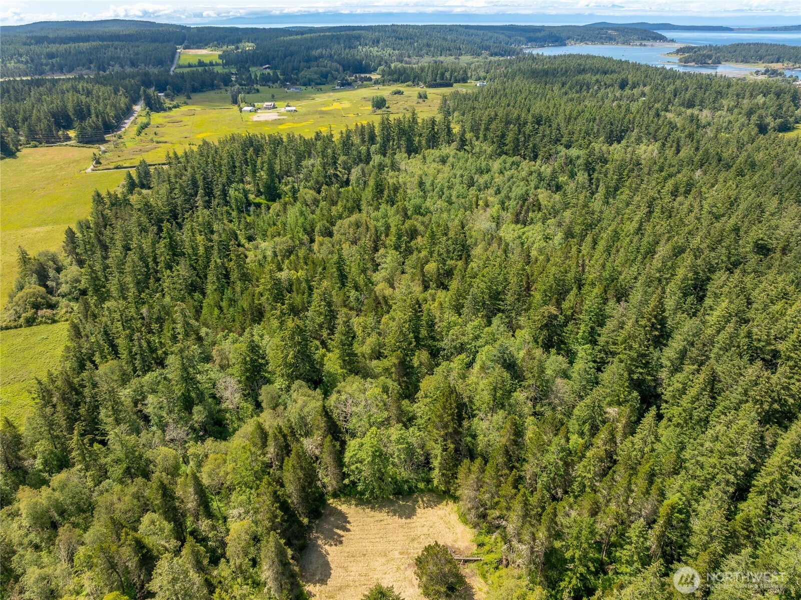 1486 Center Road Lopez Island, WA 98261 - Photo 4 of 12