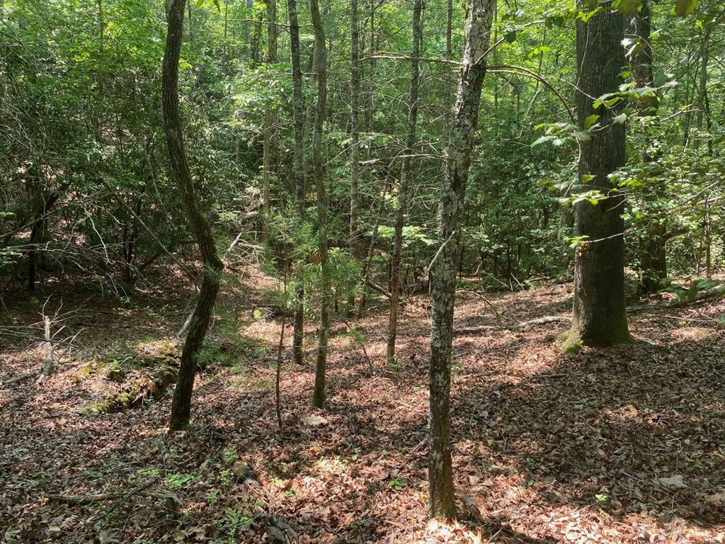 Lot 34 Point Overlook Trail Murphy, NC 28906 - Photo 5 of 17