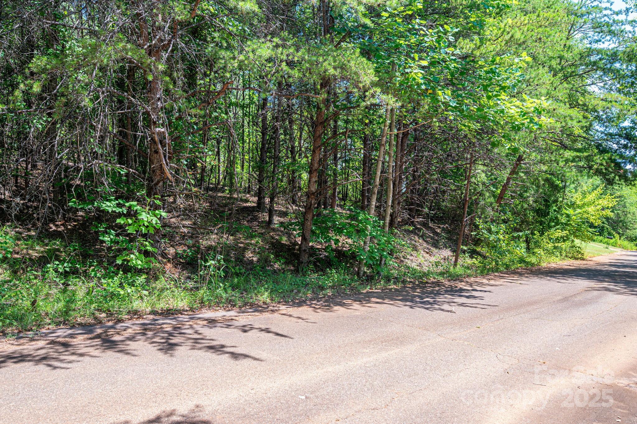 Lot 10 Meadow Crossing Drive Rutherfordton, NC 28139 - Photo 4 of 10 a wooden bench with trees in the background