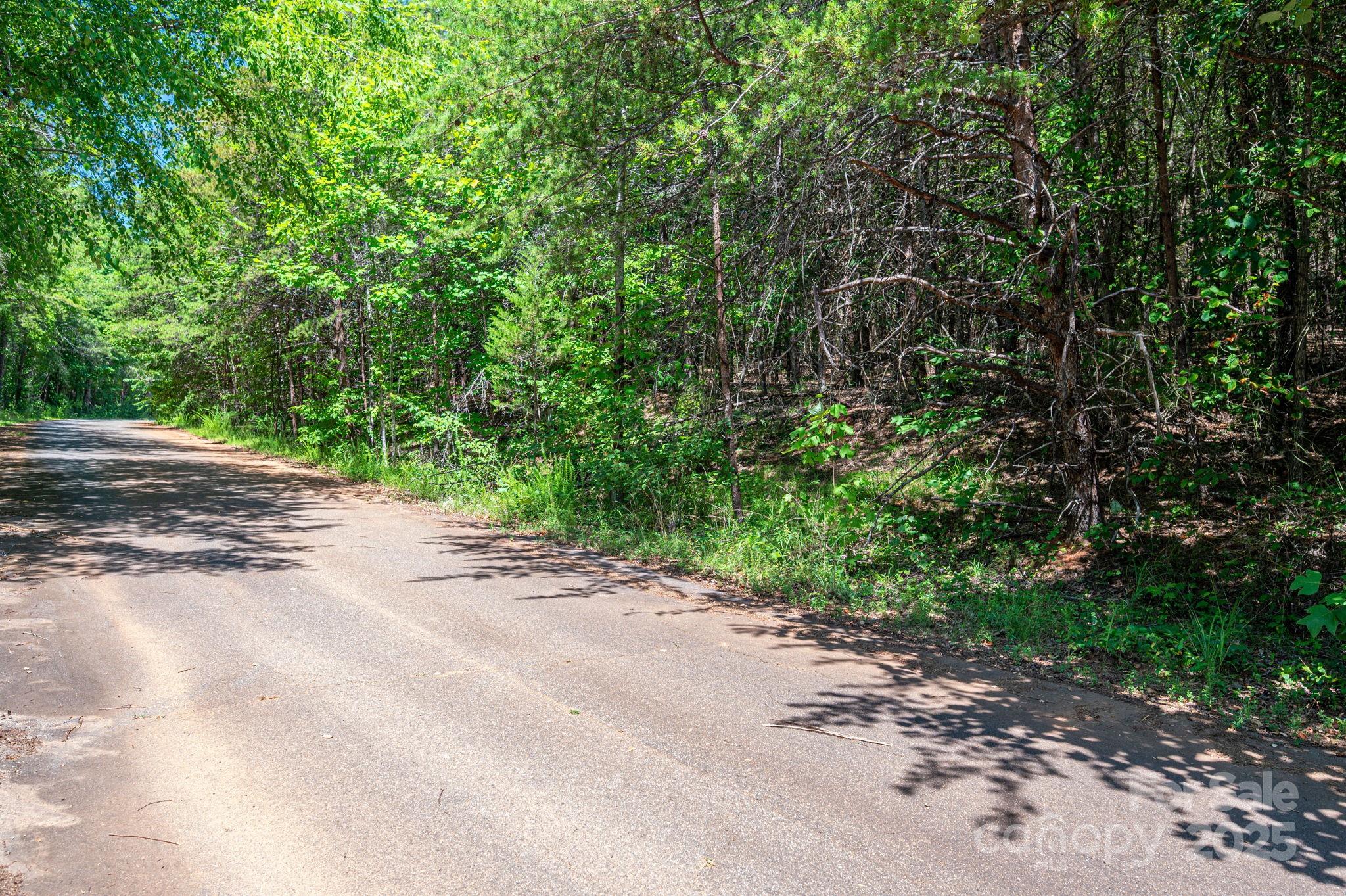 Lot 10 Meadow Crossing Drive Rutherfordton, NC 28139 - Photo 5 of 10 a view of a road with a plants