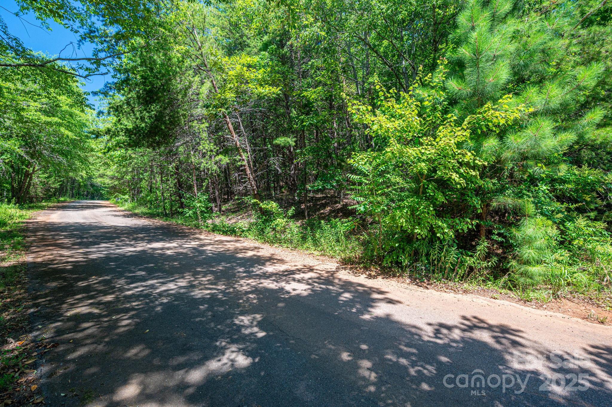 Lot 10 Meadow Crossing Drive Rutherfordton, NC 28139 - Photo 10 of 10 a view of a yard with plants and trees