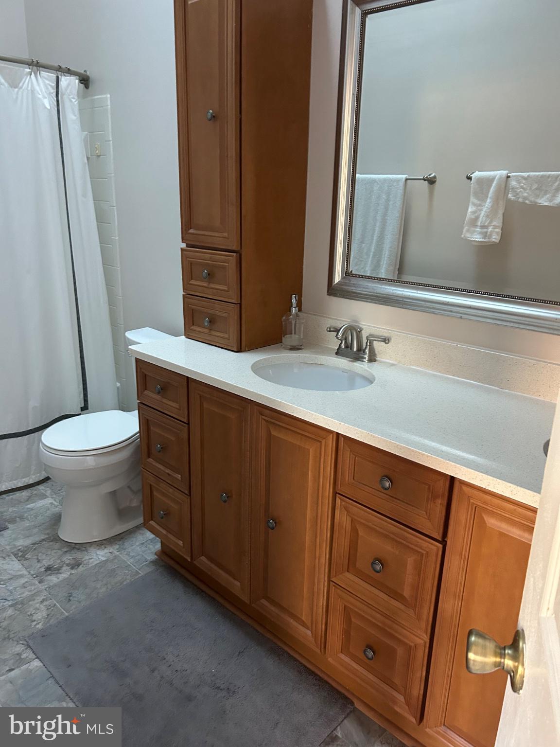 5833 Pin Oak Commons Court Burke, VA 22015 - Photo 11 of 15 a bathroom with a sink a toilet a mirror and shower