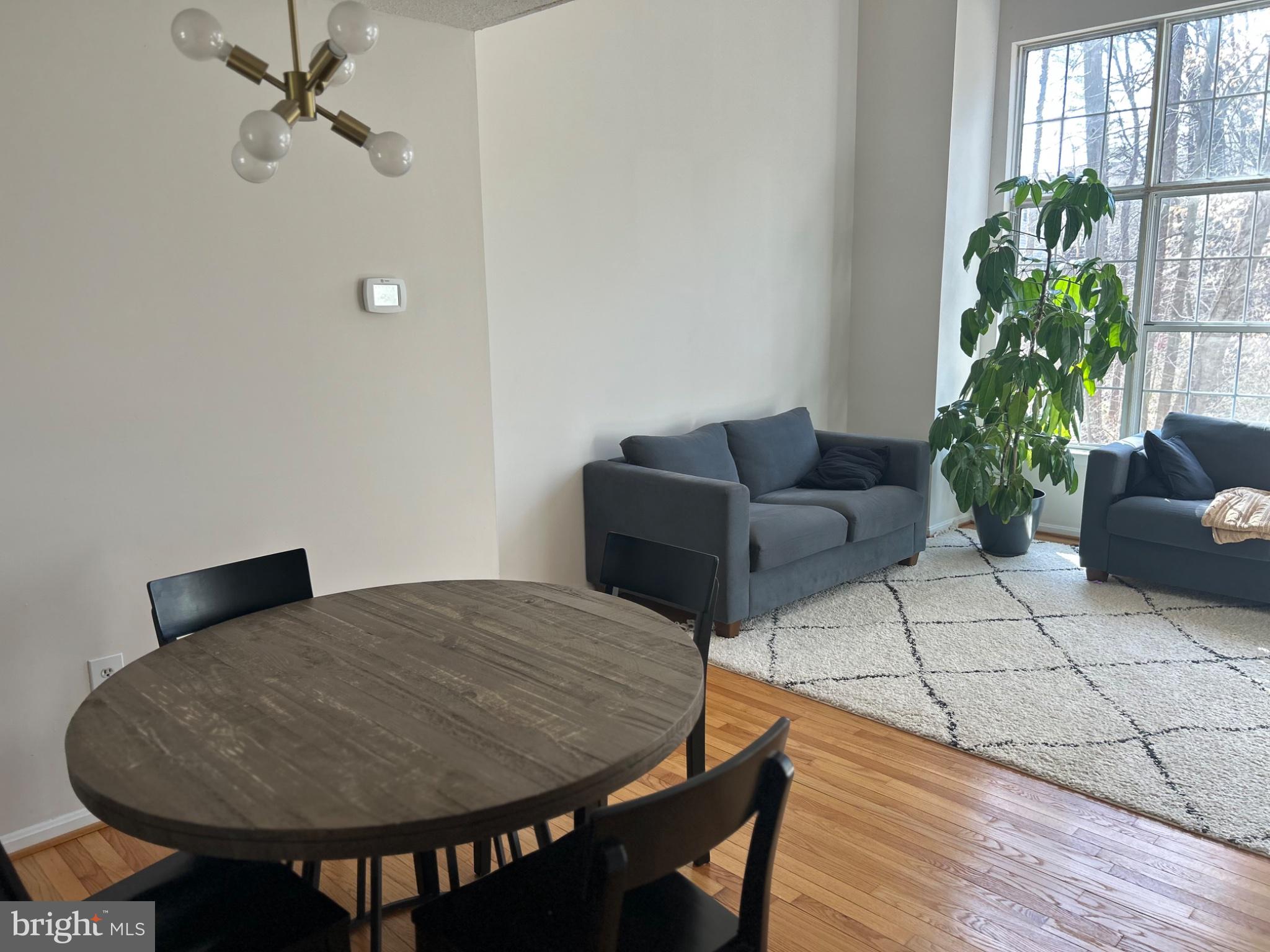 5833 Pin Oak Commons Court Burke, VA 22015 - Photo 7 of 15 a living room with furniture and a potted plant