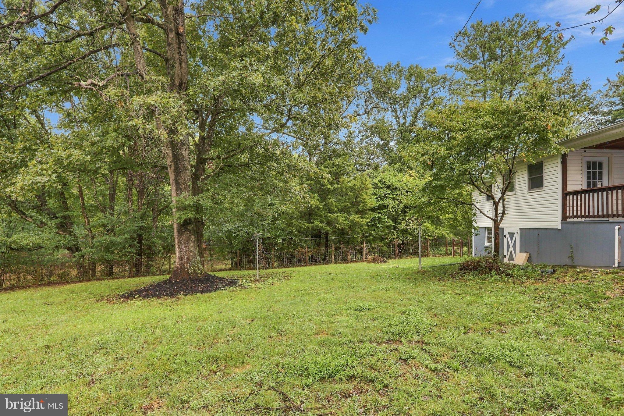 455 Mountain Road Front Royal, VA 22630 - Photo 48 of 62 Beautiful private rear yard.