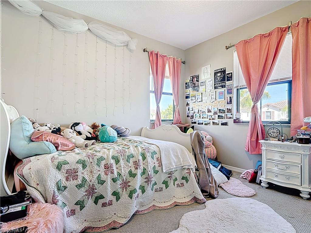 5356 Brin Way Ave Maria, FL 34142 - Photo 25 of 43