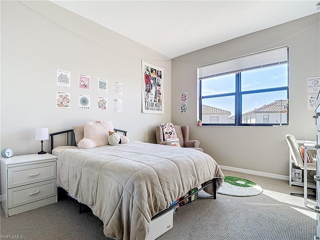 5356 Brin Way Ave Maria, FL 34142 - Photo 29 of 43