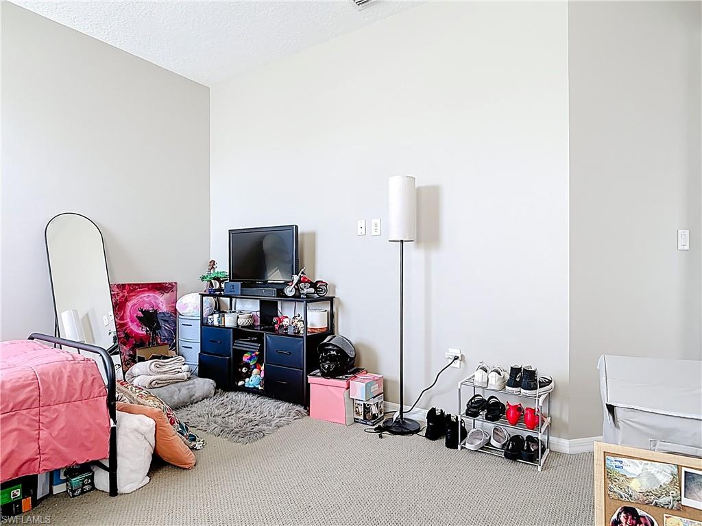 5356 Brin Way Ave Maria, FL 34142 - Photo 35 of 43