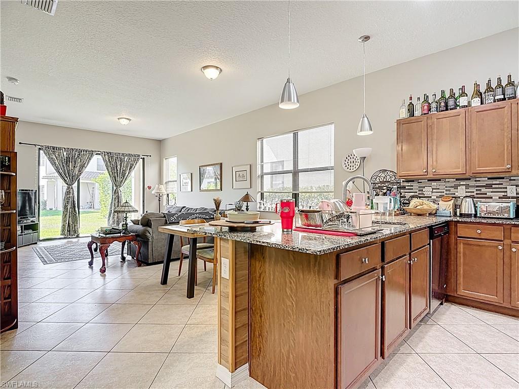 5356 Brin Way Ave Maria, FL 34142 - Photo 5 of 43