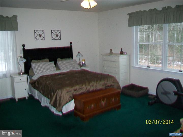 22023 Reynolds Pond Road Ellendale, DE 19941 - Photo 14 of 23 Gallery Image 14