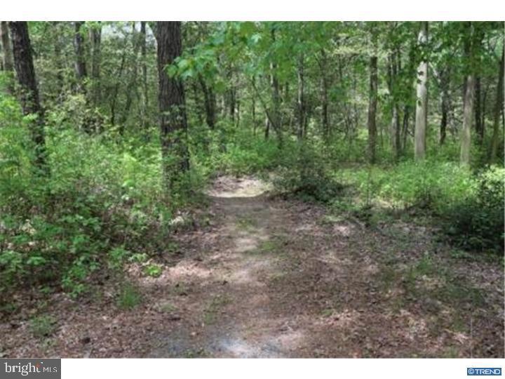 22023 Reynolds Pond Road Ellendale, DE 19941 - Photo 21 of 23 Gallery Image 21