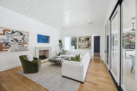 a living room with furniture potted plant and a fireplace