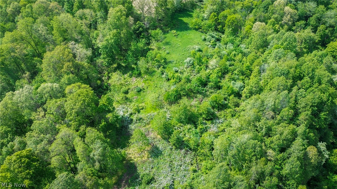 Degen Road Southwest Stone Creek, OH 43840 - Photo 14 of 19