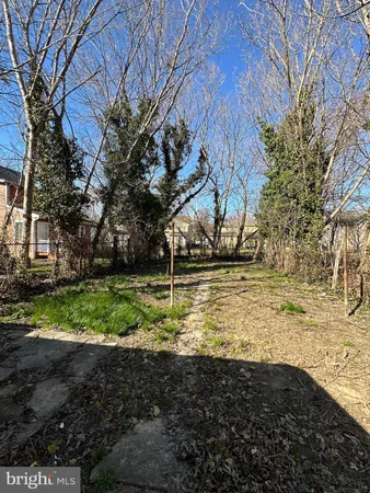 a view of yard with large tree