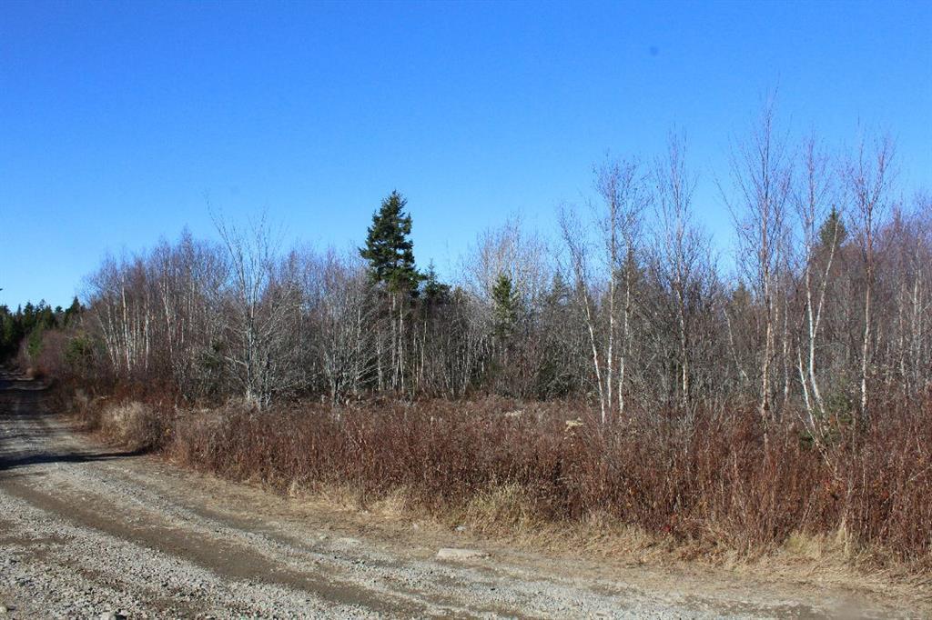 Lot 3 Cocoa Mountain Road Cutler, ME 04626 - Photo 7 of 9 Land from the "Y"