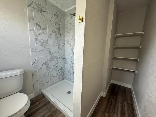 a bathroom with a shower and toilet