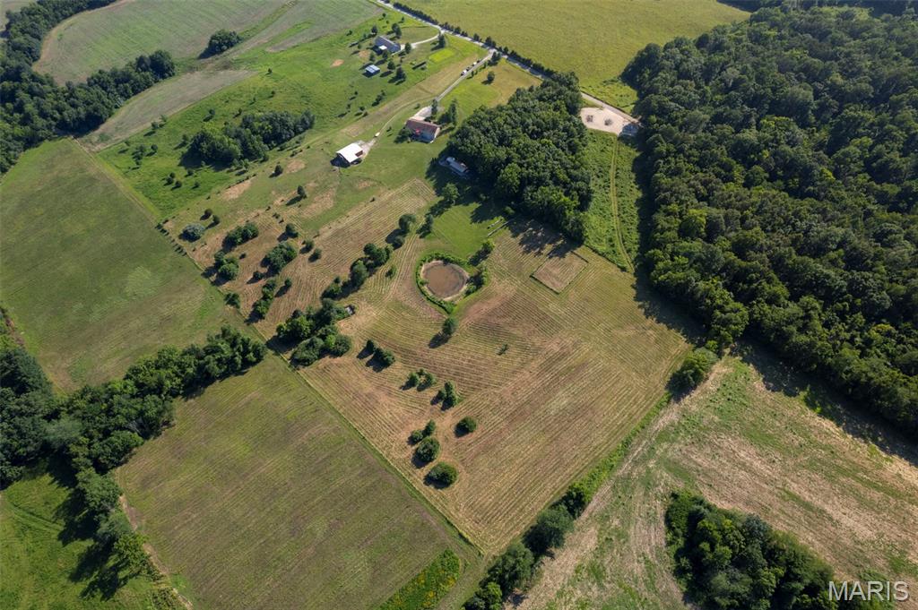 426 County Road 429 Oak Ridge, MO 63769 - Photo 20 of 70