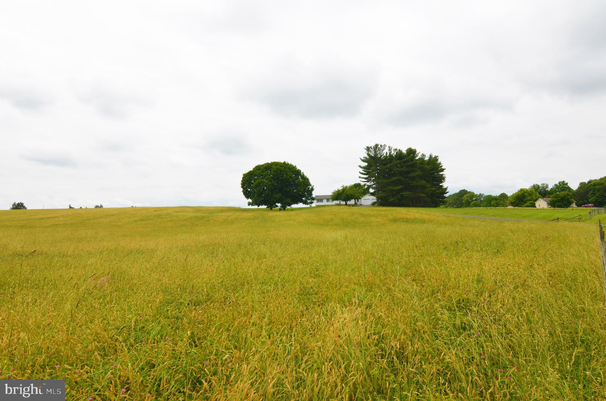 13835 (parcel 290) Howard Road Dayton, MD 21036 - Photo 2 of 11 Beautiful setting
