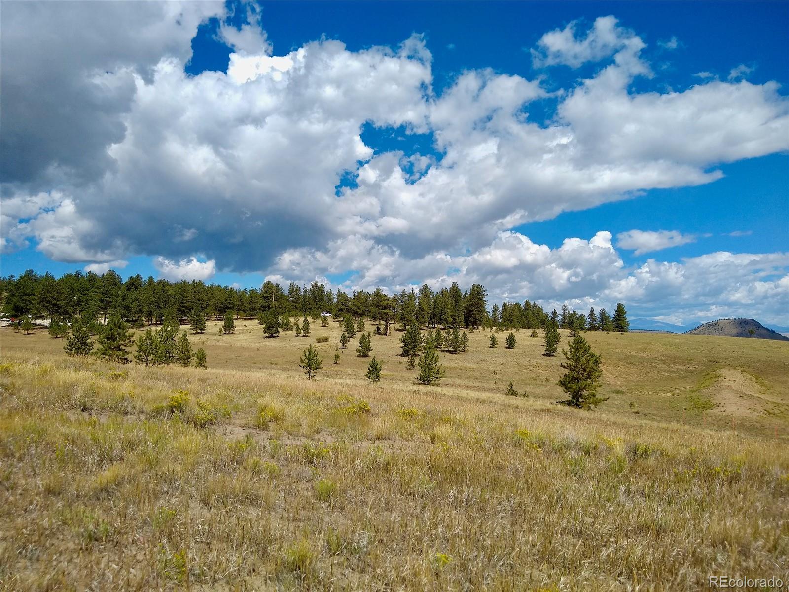2789 Wagon Wheel Road Hartsel, CO 80449 - Photo 12 of 40 Gallery Image 12