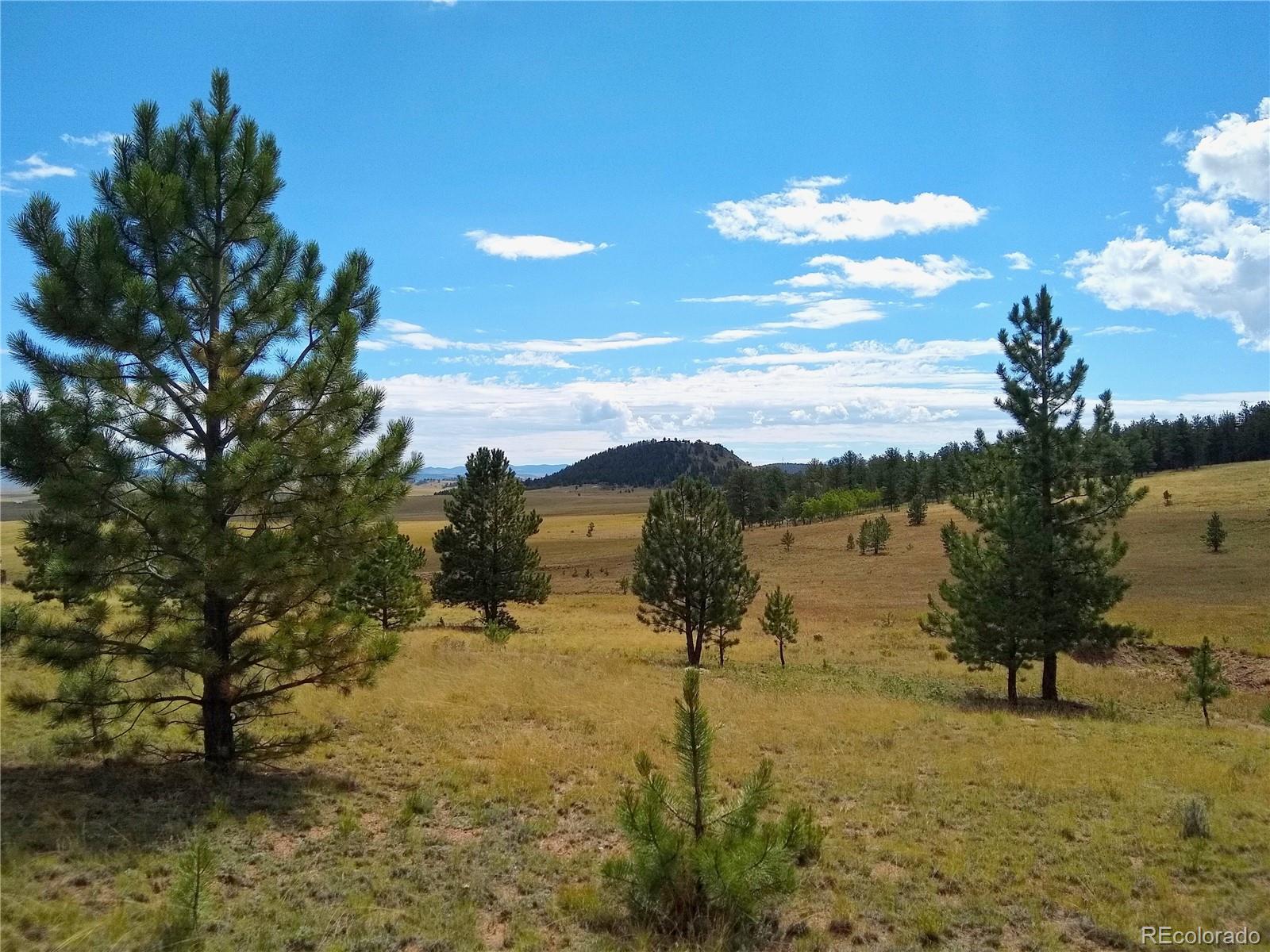 2789 Wagon Wheel Road Hartsel, CO 80449 - Photo 19 of 40 Gallery Image 19