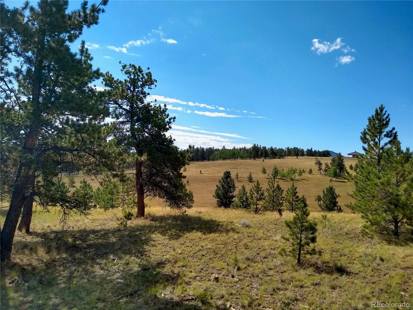 2789 Wagon Wheel Road Hartsel, CO 80449 - Photo 20 of 40 Gallery Image 20
