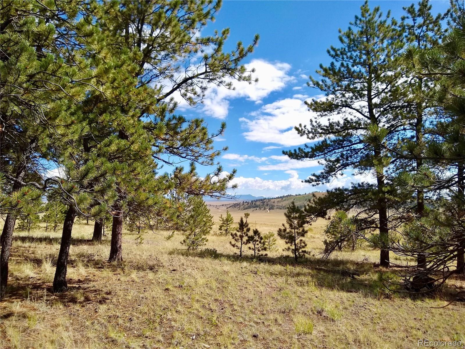 2789 Wagon Wheel Road Hartsel, CO 80449 - Photo 34 of 40 Gallery Image 34