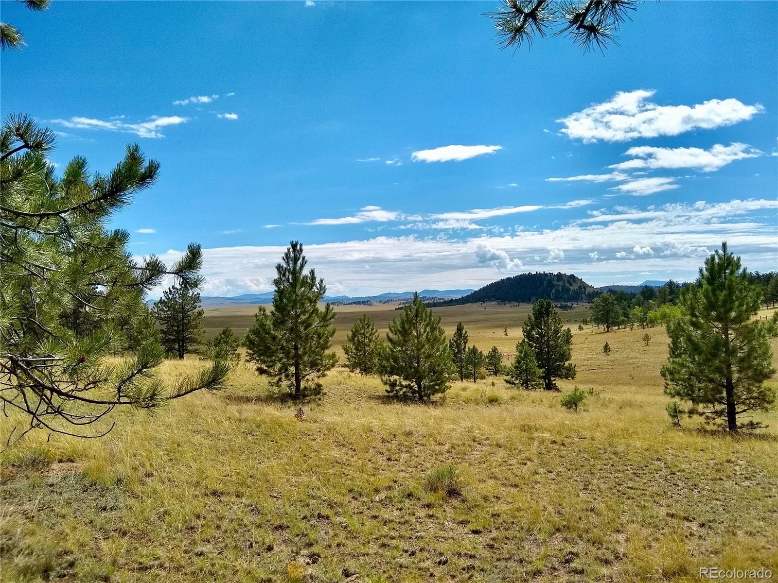 2789 Wagon Wheel Road Hartsel, CO 80449 - Photo 36 of 40 Gallery Image 36